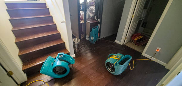 Best Flood damage cleanup  in Ozona, TX
