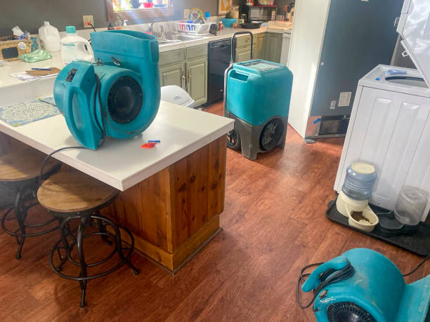 Water damage restoration experts in Ozona, TX