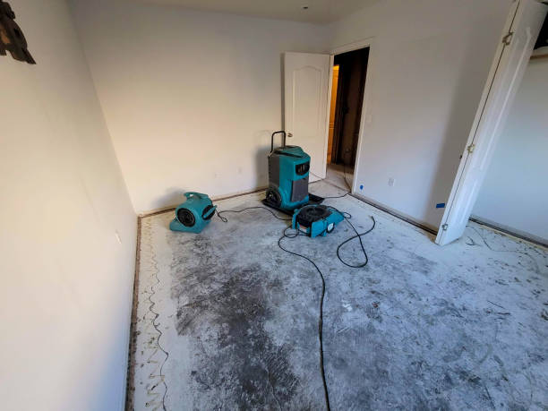 Best 24/7 water damage repair  in Ozona, TX