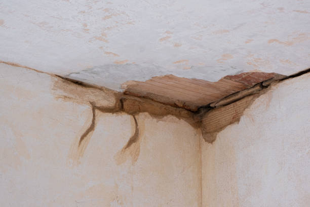 Best Emergency water damage restoration  in Ozona, TX
