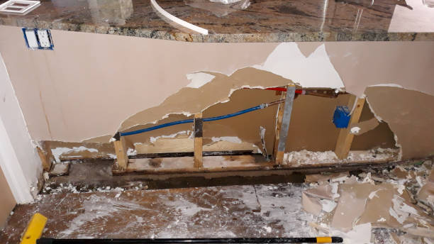 Best Carpet water damage restoration  in Ozona, TX