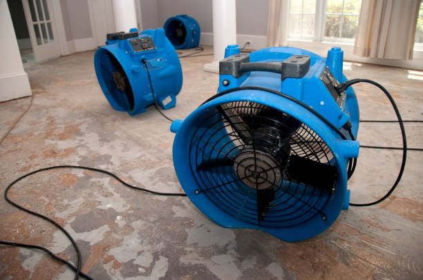 Best Water damage restoration near me  in Ozona, TX