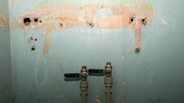 Best Water damage restoration cost  in Ozona, TX