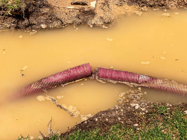 Best Basement water damage restoration  in Ozona, TX