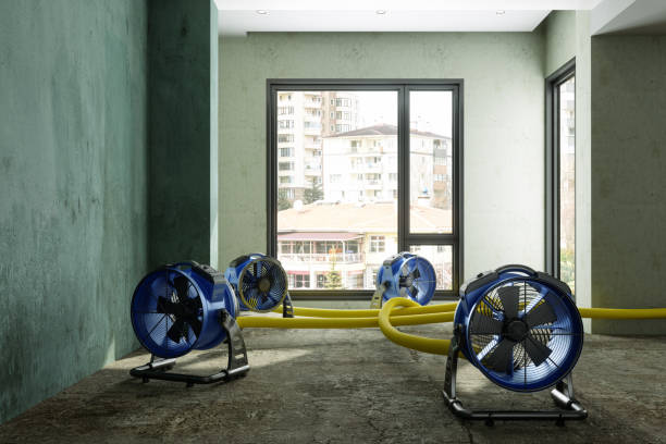 Best Water damage restoration insurance claims  in Ozona, TX