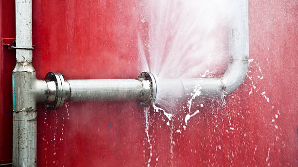 Best Emergency water damage restoration  in Ozona, TX